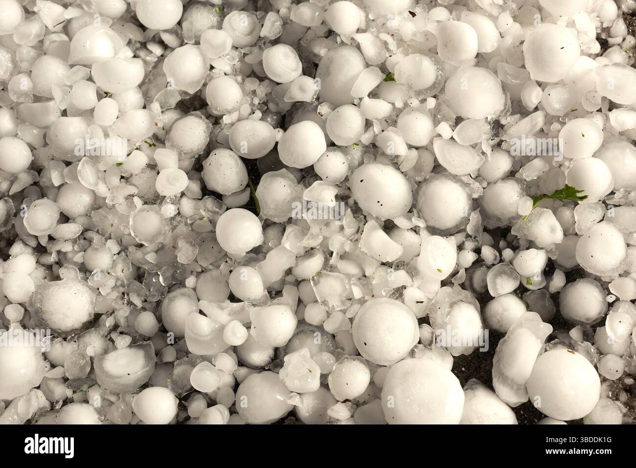 Dichter Teppich aus Riesenhagel: Verschiedene Größen bis zu 5 cm, Nahansicht von oben Stockfoto
