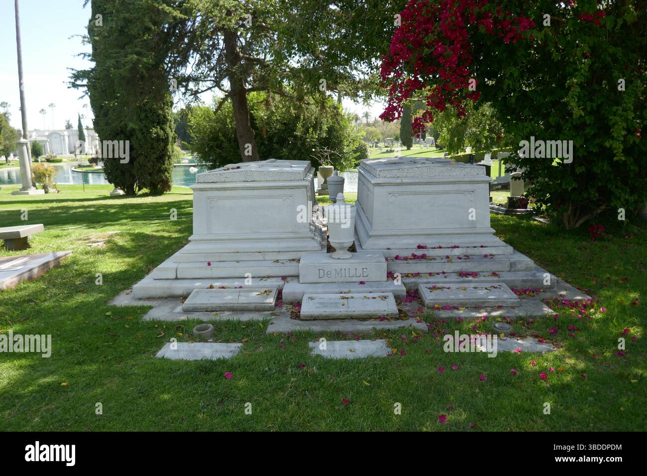 22. Mai 2025 Regisseur Cecil B. DeMille Family Graves in Garden of Legends auf dem Hollywood Forever Cemetery am 22. Mai 2025 in Los Angeles, Kalifornien, USA. Foto: Barry King/Alamy Stock Photo Stockfoto