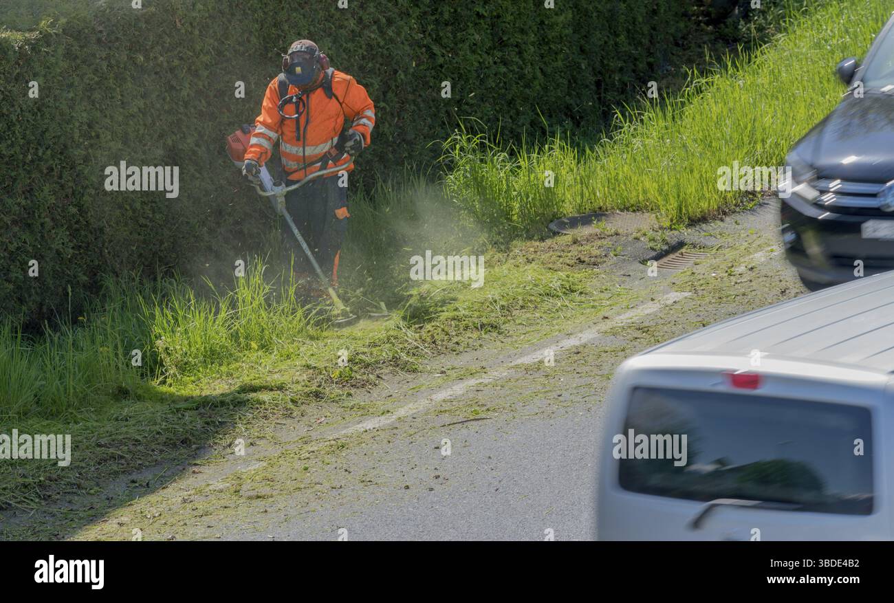 Autos fahren durch ein stadtarbeiter Clearing am Straßenrand von Gras und Unkraut mit einem weed Eater Stockfoto