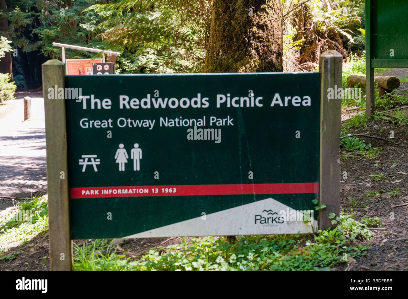 Das Redwoods Picknickgebiet Signal, Redwoods Otways, Australien Stockfoto