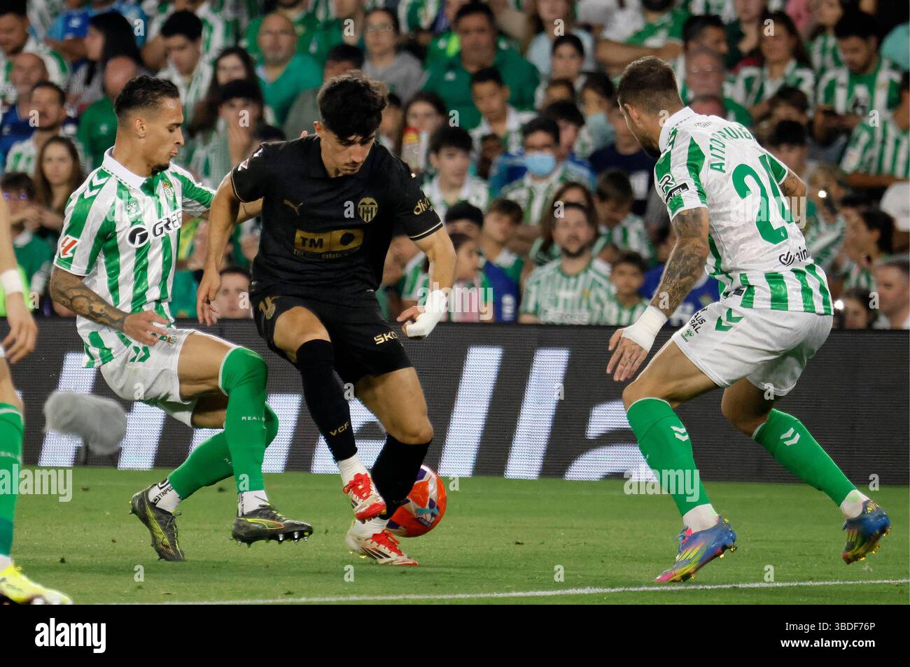 Spanisches La Liga EA Sports Fussballspiel Betis gegen Valencia im Benito Villamarin Stadion in Sevilla, Spanien. Mai 2025. SEVILLA 23/05/2025 LIGA EA SORTS JORNADA 38 ESTADIO BENITO VILLAMARIN 900/Cordon PRESS Credit: CORDON PRESS/Alamy Live News Stockfoto