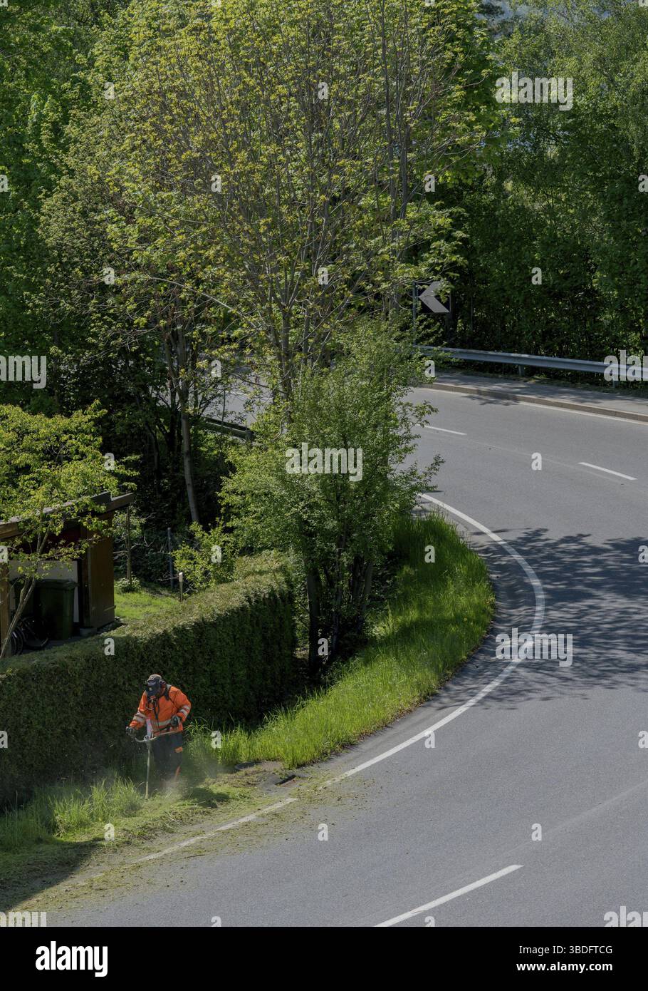 Ein stadtarbeiter Clearing am Straßenrand von Gras und Unkraut mit einem weed Eater Stockfoto