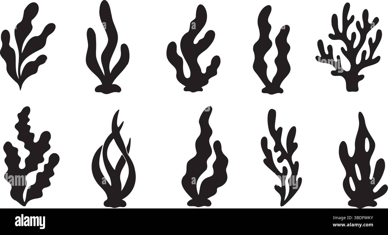 Minimalistische Marine-Motive, Black Coral und Organic Ocean Elements Underwater Doodles und Matisse inspirierte Formen Stock Vektor