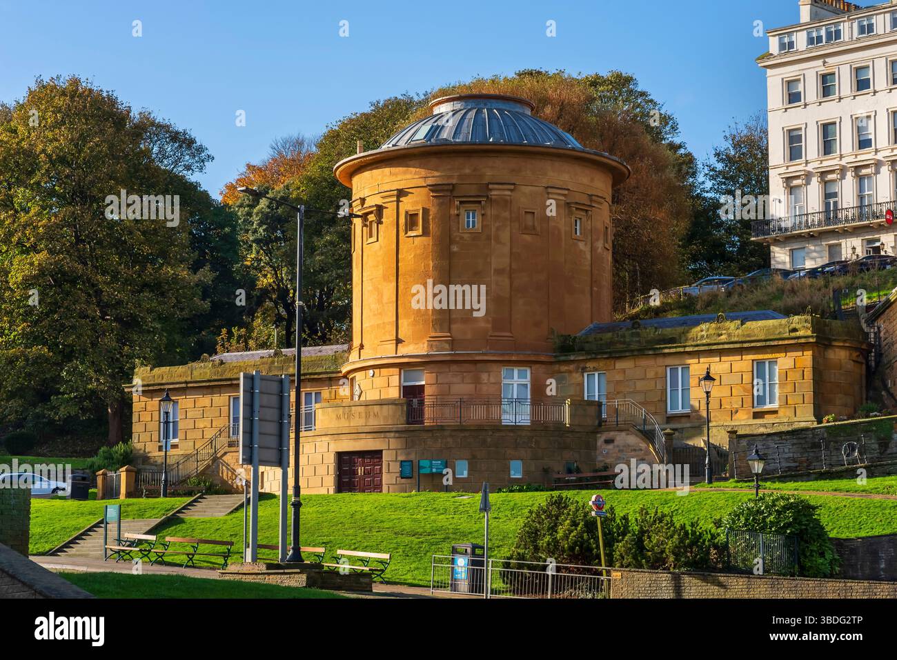 Das berühmte Rotunda Museum in Scarborough beherbergt eine der besten Sammlungen von Fossilien und Mineralien der Welt. Stockfoto