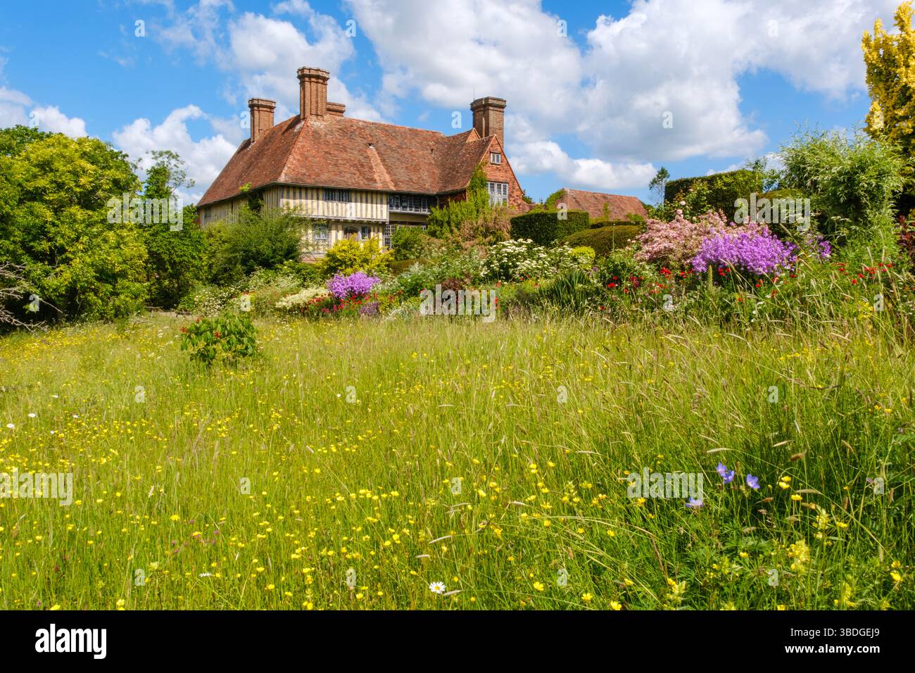 Wildblumenwiese, Great Dixter, East Sussex, Northiam, Großbritannien Stockfoto