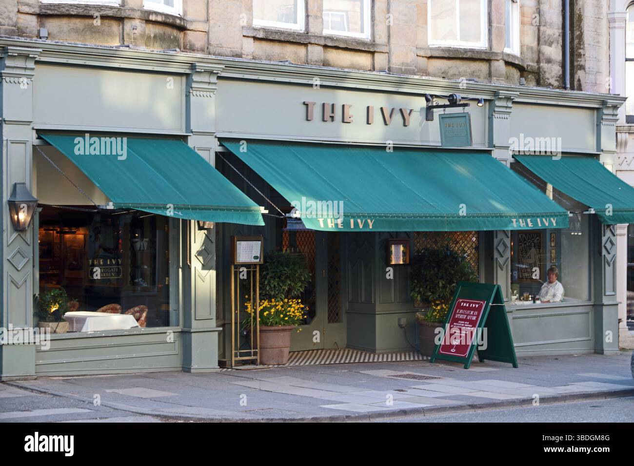 Ivy Restaurant, Harrogate Stockfoto