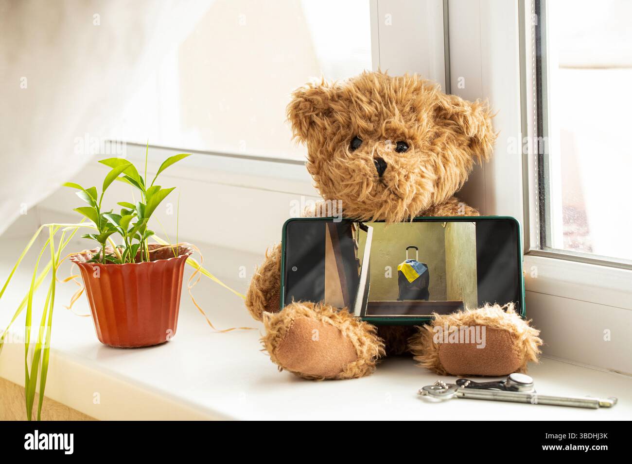 Teddybär und Smartphone mit einem Foto eines Koffers mit der ukrainischen Flagge, bevor sie das Haus verlassen, eine Erinnerung an die Trennung durch den Krieg Stockfoto