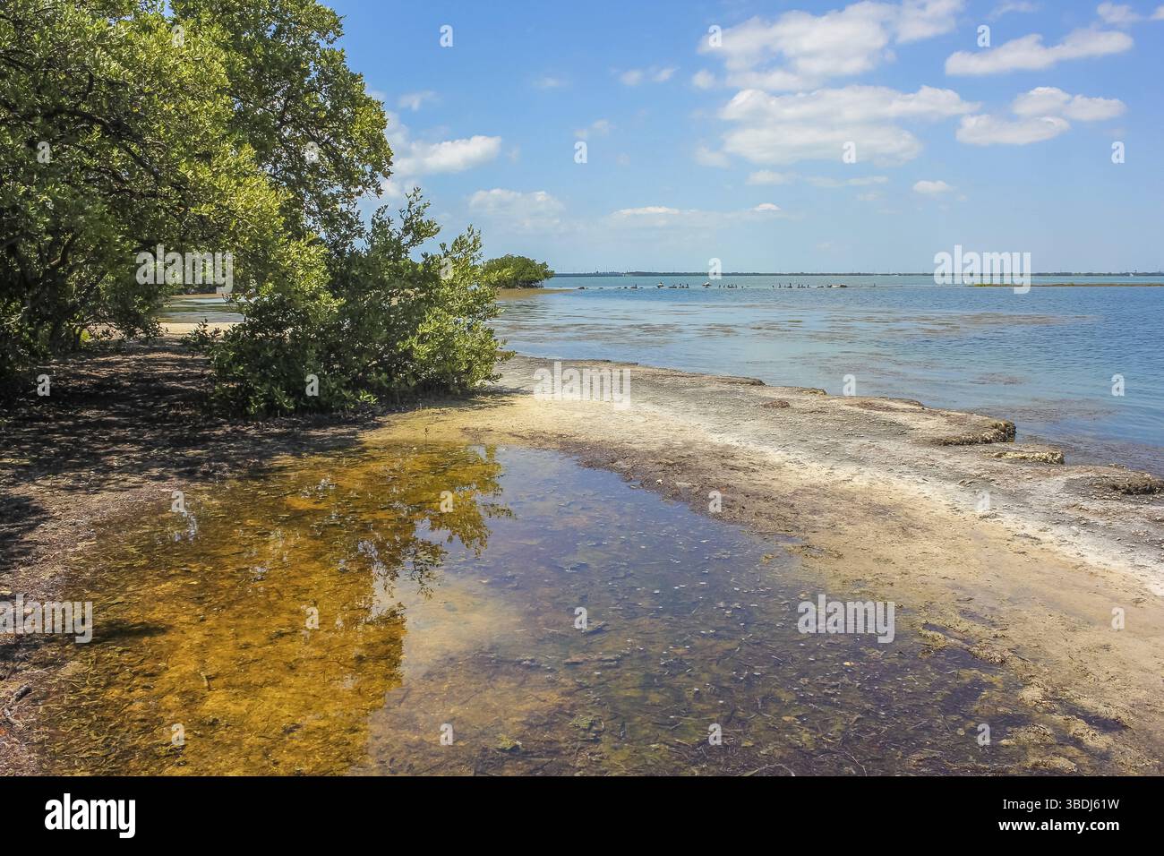 Die Landschaft der Lagune mit Mangroven, die wenig besucht keine Namen Key, eine Insel in der unteren Florida Keys in den Usa, in der Nähe von Stockfoto