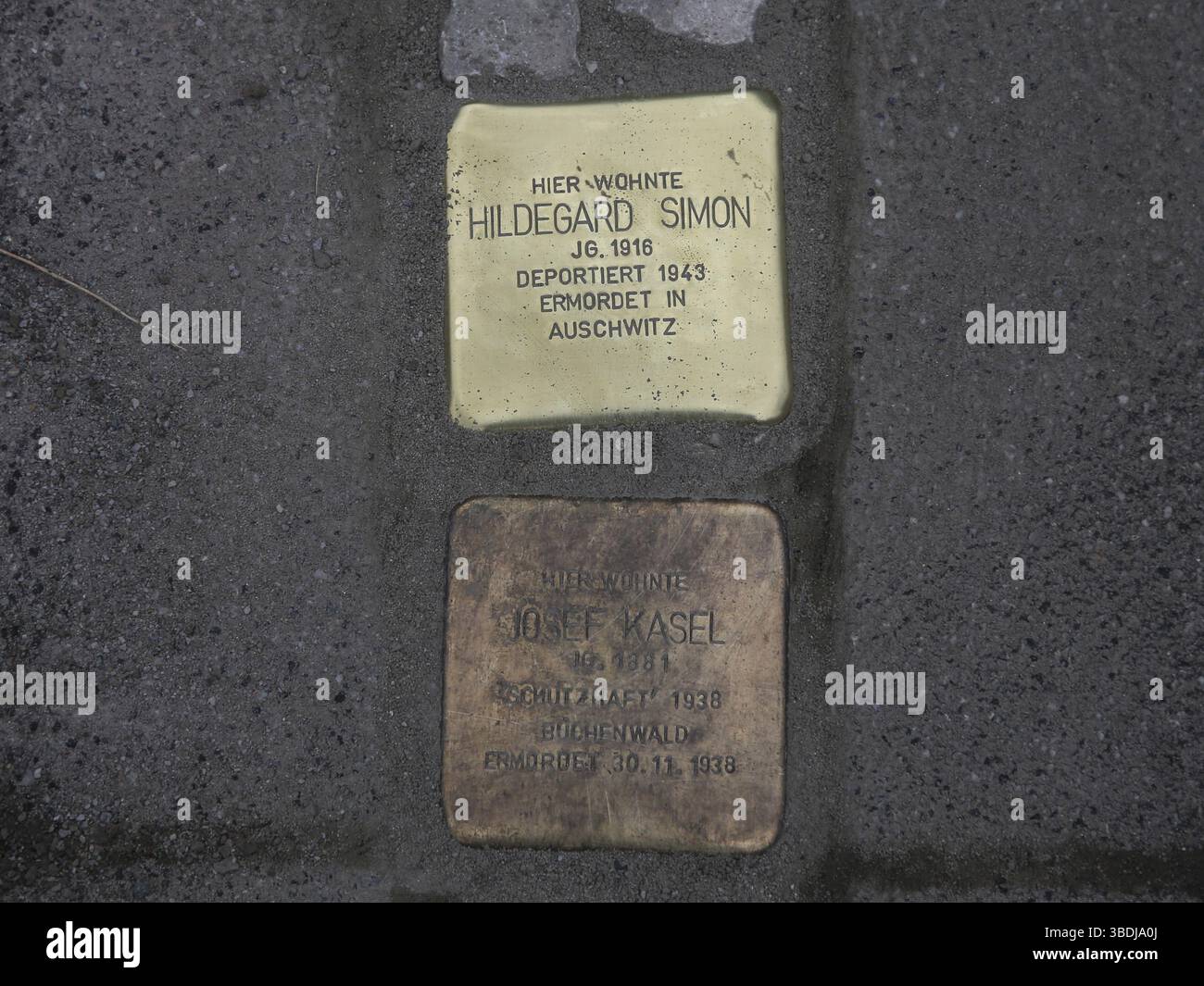 Stolpersteine frisch gelegt vom Künstler Gunter Demnig am 11/11/2021 in Magdeburg, Stolpersteine frisch gelegt vom Künstler Gunter Demnig am 11/11/202 Stockfoto