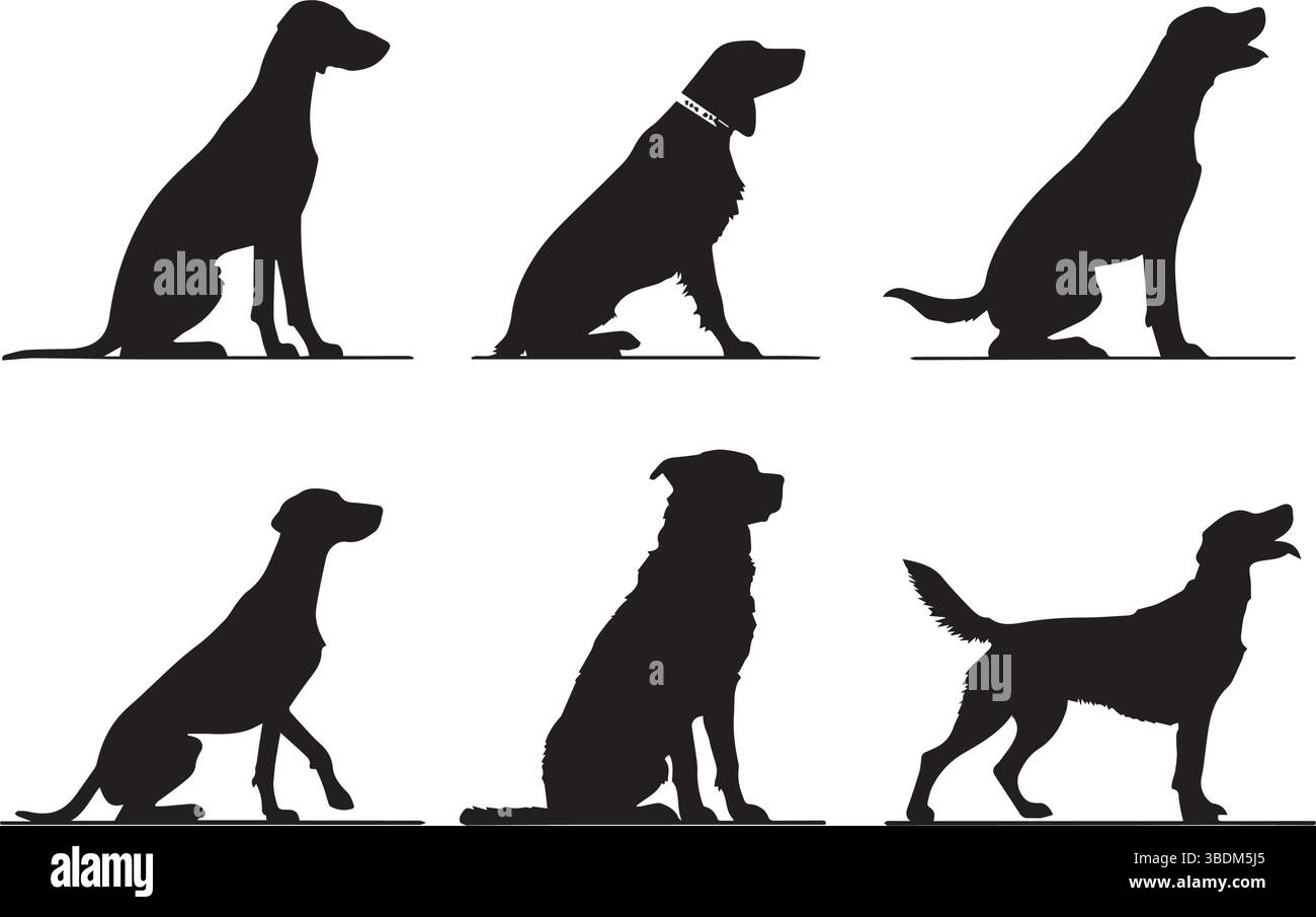 Hundesilhouetten Vektorillustrationen für Designprojekte Stock Vektor