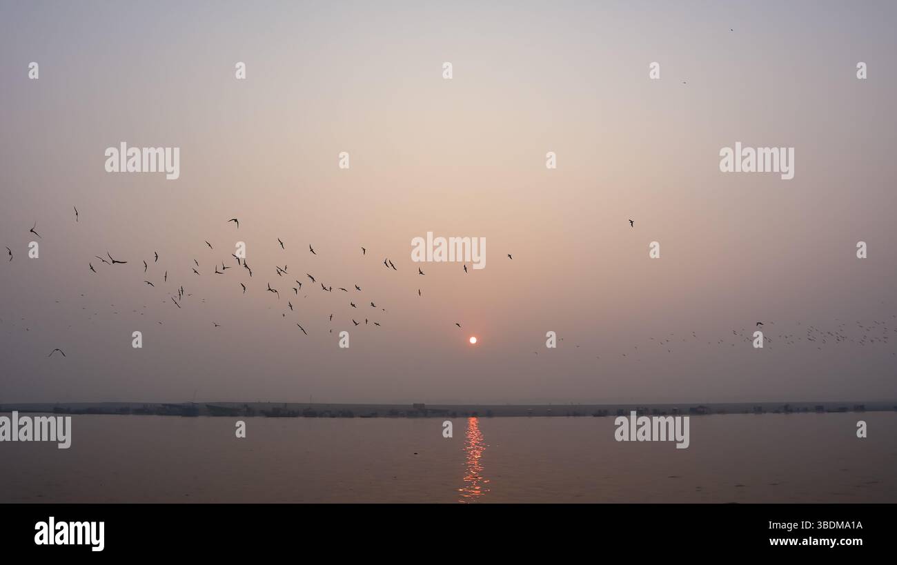 Indien, Uttar Pradesh, Varanasi, wunderschöner Blick auf den Varanasi Ganga River Vogel, der umherfliegt. Stockfoto