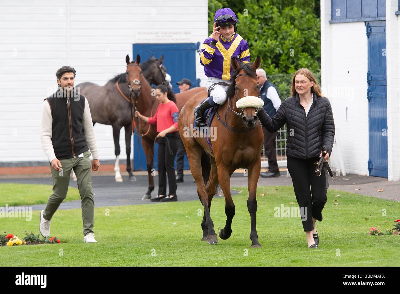 Bomba Del Mundo Horse Newbury 16:40