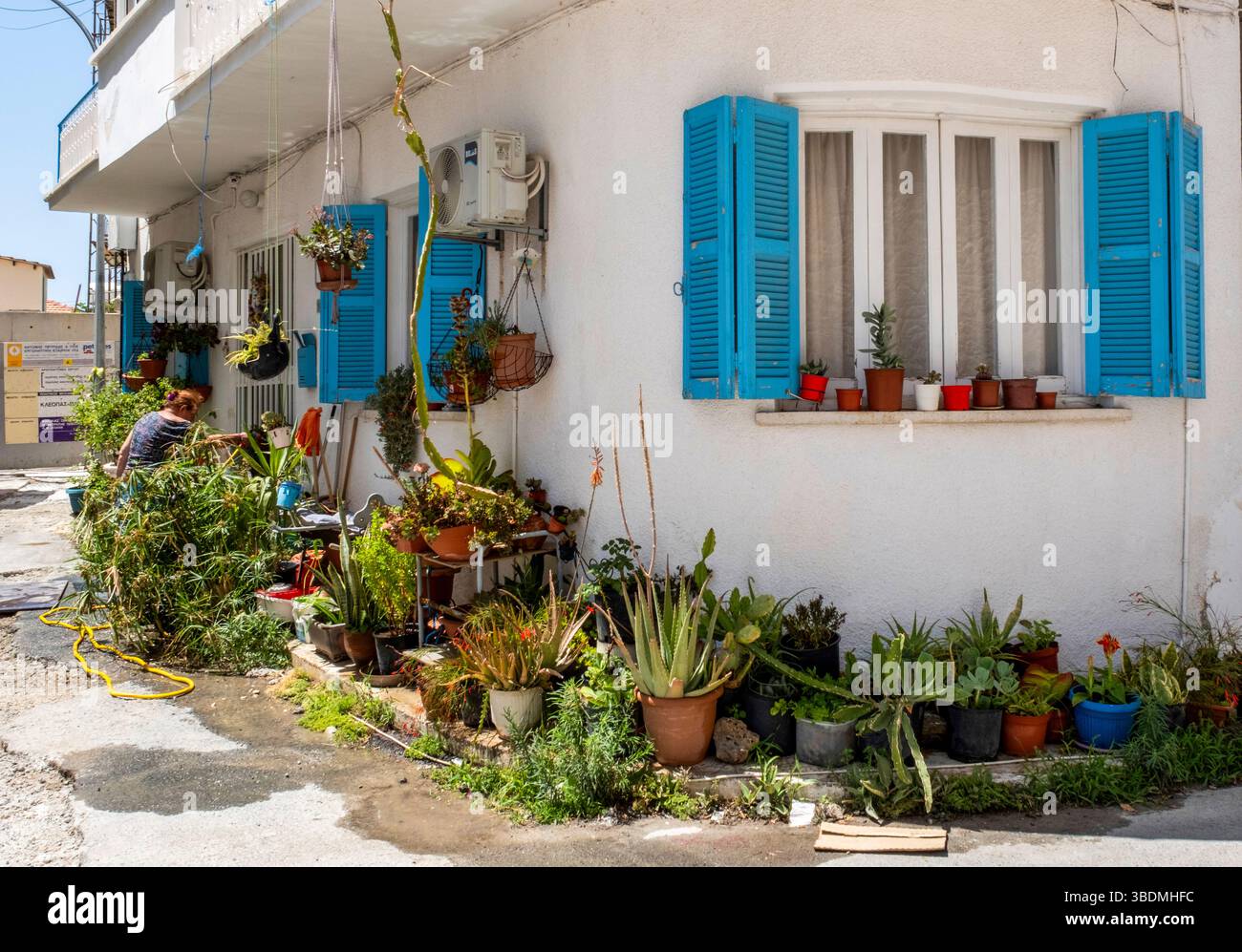 Traditionelles zyprisches Haus mit blauen Fensterläden mit bunten Topfpflanzen, Paphos Altstadt, Paphos, Zypern Stockfoto