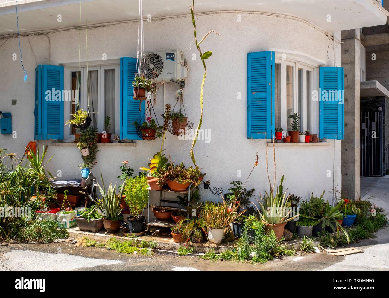 Traditionelles zyprisches Haus mit blauen Fensterläden mit bunten Topfpflanzen, Paphos Altstadt, Paphos, Zypern Stockfoto