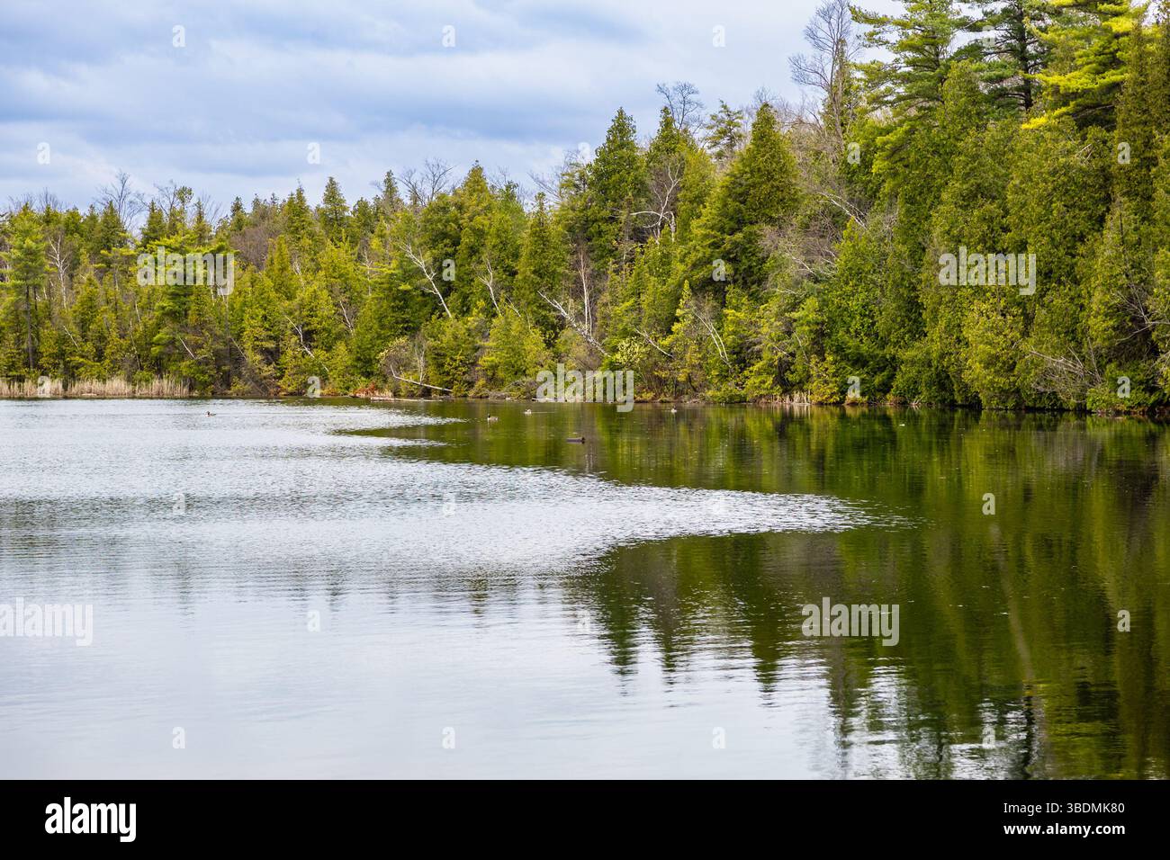Lake Crawford im Frühjahr. Der Crawford Lake ist Teil des Niagara Escarpment World Biosphere Reserve. Milton, Halton Region, Ontario, Kanada Stockfoto