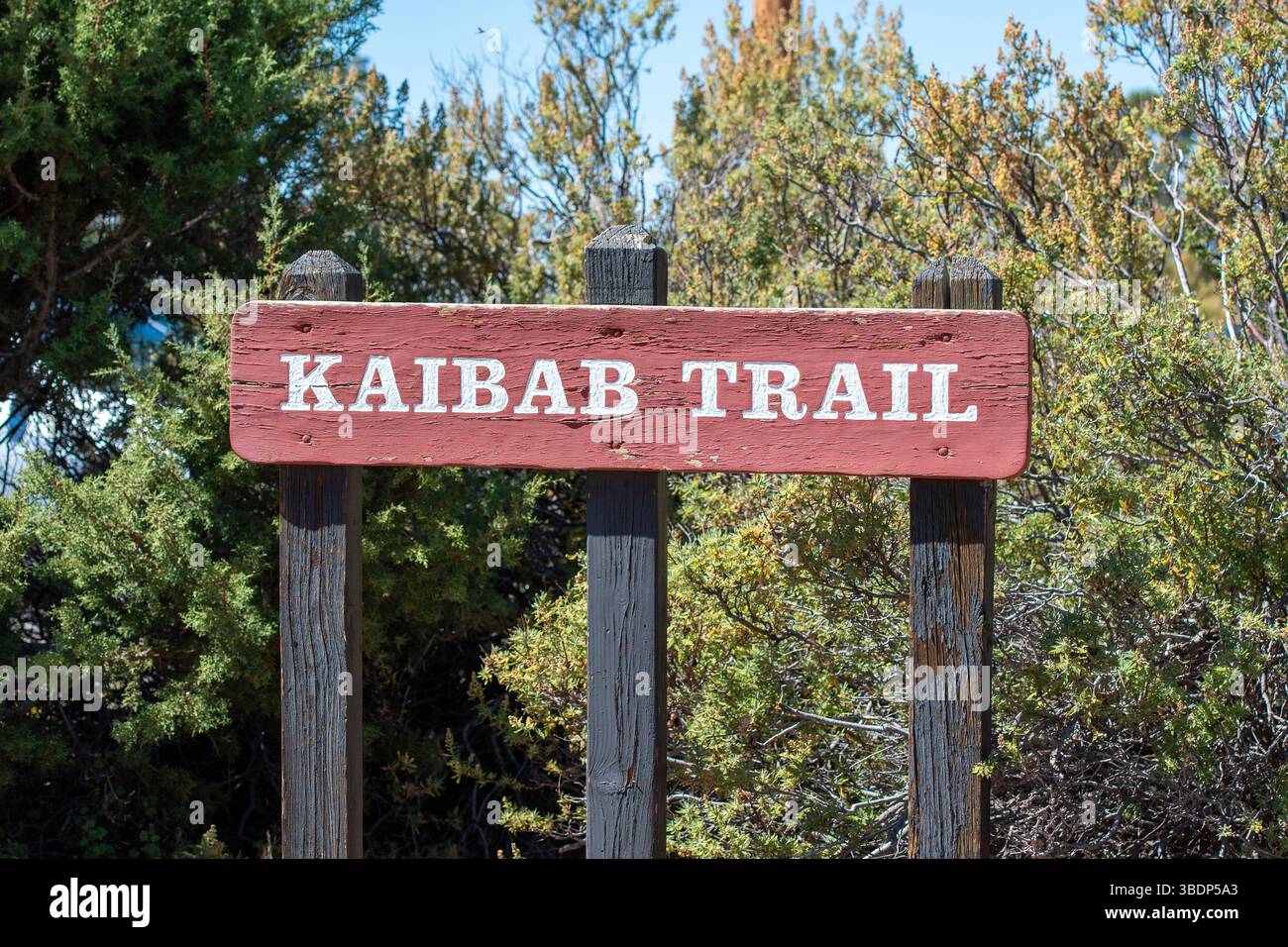 Hölzernes Wanderschild im Grand Canyon National Park, South Rim, Arizona, USA Stockfoto