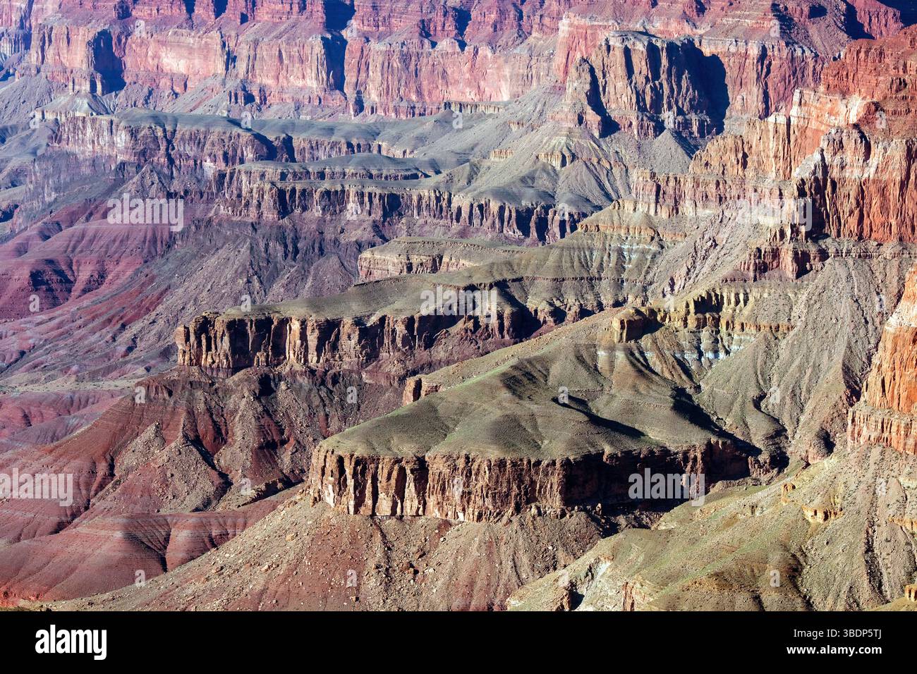 Grand Canyon National Park, Blick vom Südrand, Arizona, USA Stockfoto