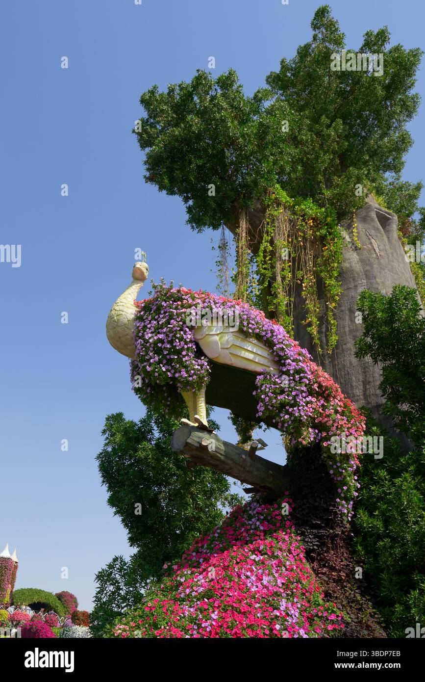 Dubai, VAE, 2. Februar 2023: Eine große Skulptur eines Pfaus, bedeckt mit Blumen auf einem riesigen Baum im Dubai Miracle Garden in Dubai, Vereinigte Arabische Emirate Stockfoto