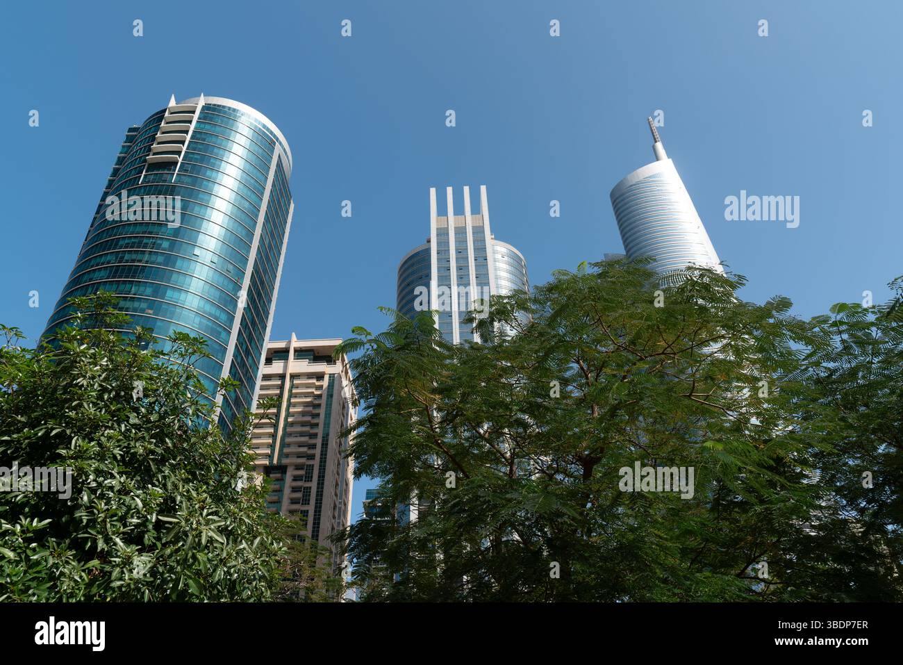 Dubai, VAE, 4. Februar 2023: Blick auf hohe Gebäude Goldcrest Executive Tower, Fortune Tower, Almas Tower hinter hohen grünen Bäumen. Dubai Marina Unite Stockfoto