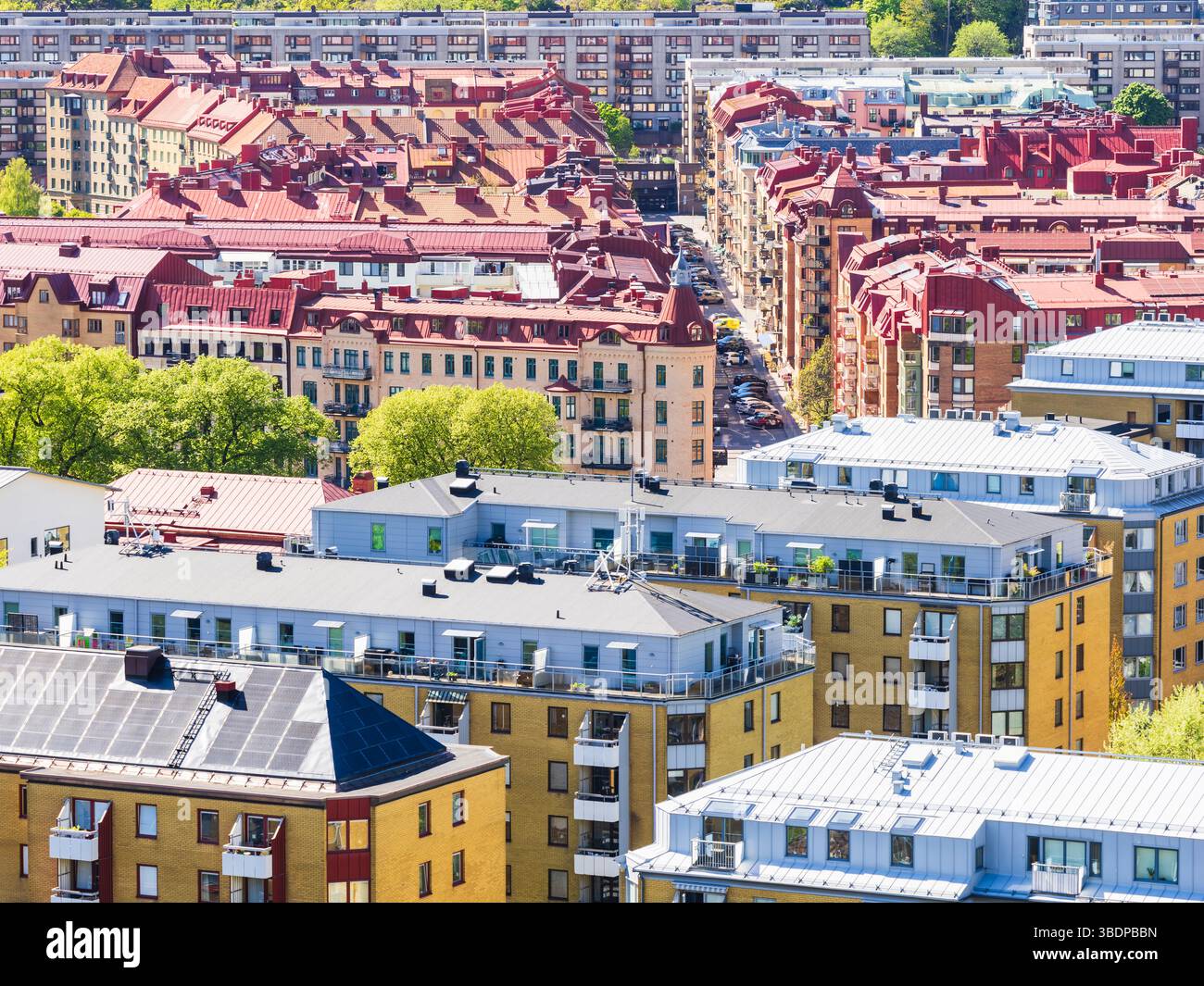 Göteborg erwacht im Frühjahr mit üppigem Grün und farbenfrohen Gebäuden, die eine lebhafte urbane Atmosphäre widerspiegeln. Stockfoto
