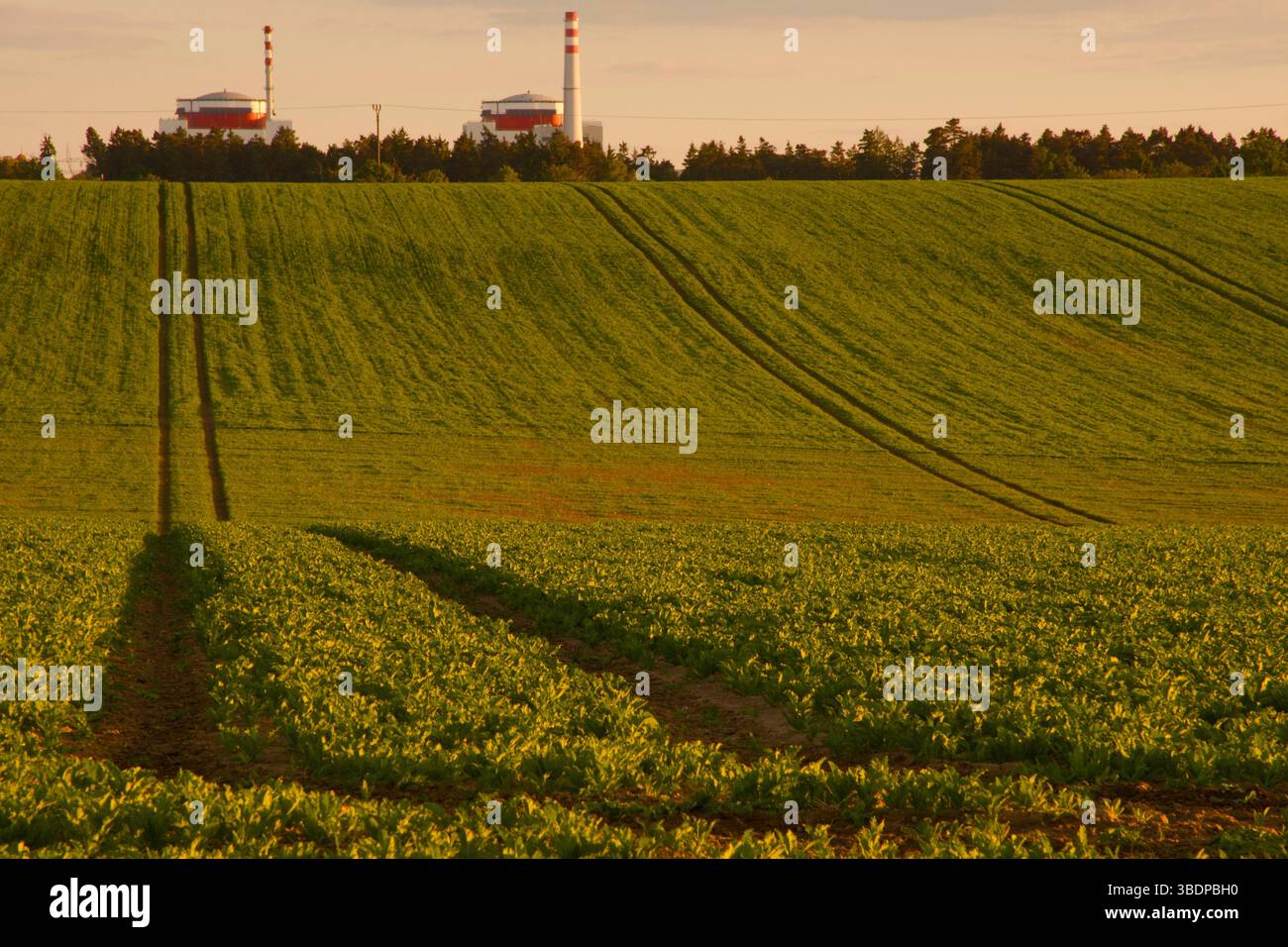 Grünes Feld, lange Spuren, Atomkraftwerk bei Sonnenuntergang. Stockfoto