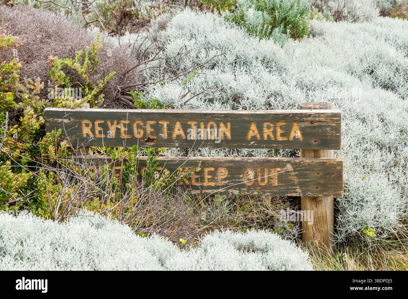 Bay of Islands Coastal Park Revegetation Area Signal, Peterborough, Great Ocean Road, Australien Stockfoto