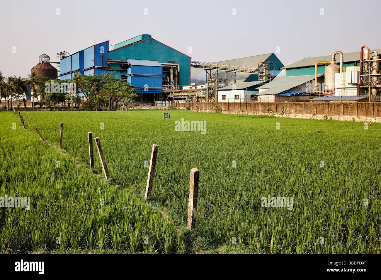 Industriekomplex neben Reisfeldern in Shikalbaha, Bangladesch, zeigt den Einfluss der Schwerindustrie auf Agrarlandschaften. Stockfoto