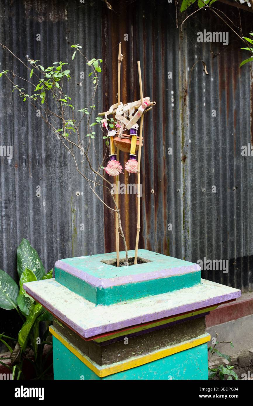Tulsi Vrindavan-Schrein mit heiliger Basilikumpflanze und Opfergaben in einem Innenhof, gesehen im ländlichen Bangladesch. Stockfoto