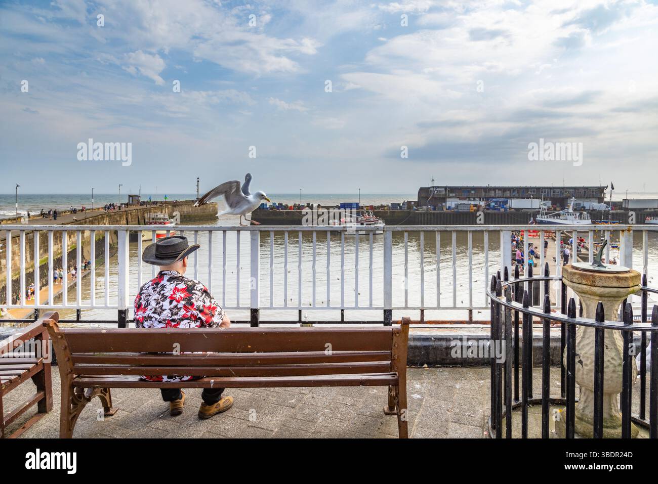 Ein Mann mit Cowboyhut, der auf einer Bank sitzt und über den Bridlington Hafen zum Meer blickt. Alleinreisen, Aufenthalt oder Urlaubskonzept. Stockfoto