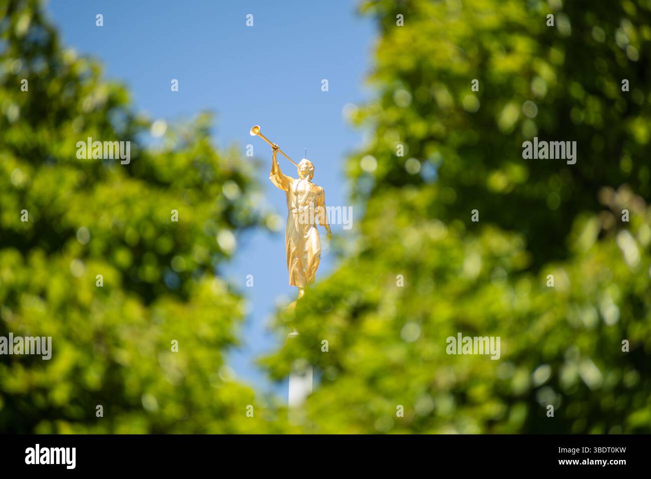 American Fork, UT, USA – 24. Mai 2025: Angel Moroni auf dem Mount Timpanogos Utah Temple symbolisiert den Glauben und die HLT-Kirche. Stockfoto