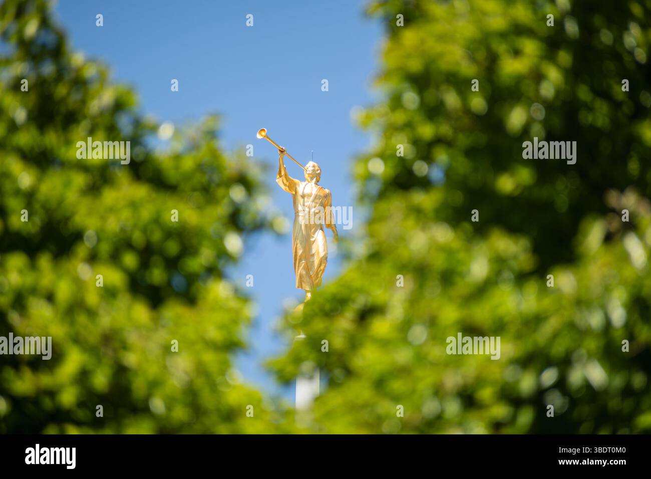 American Fork, UT, USA – 24. Mai 2025: Angel Moroni auf dem Mount Timpanogos Utah Temple symbolisiert den Glauben und die HLT-Kirche. Stockfoto