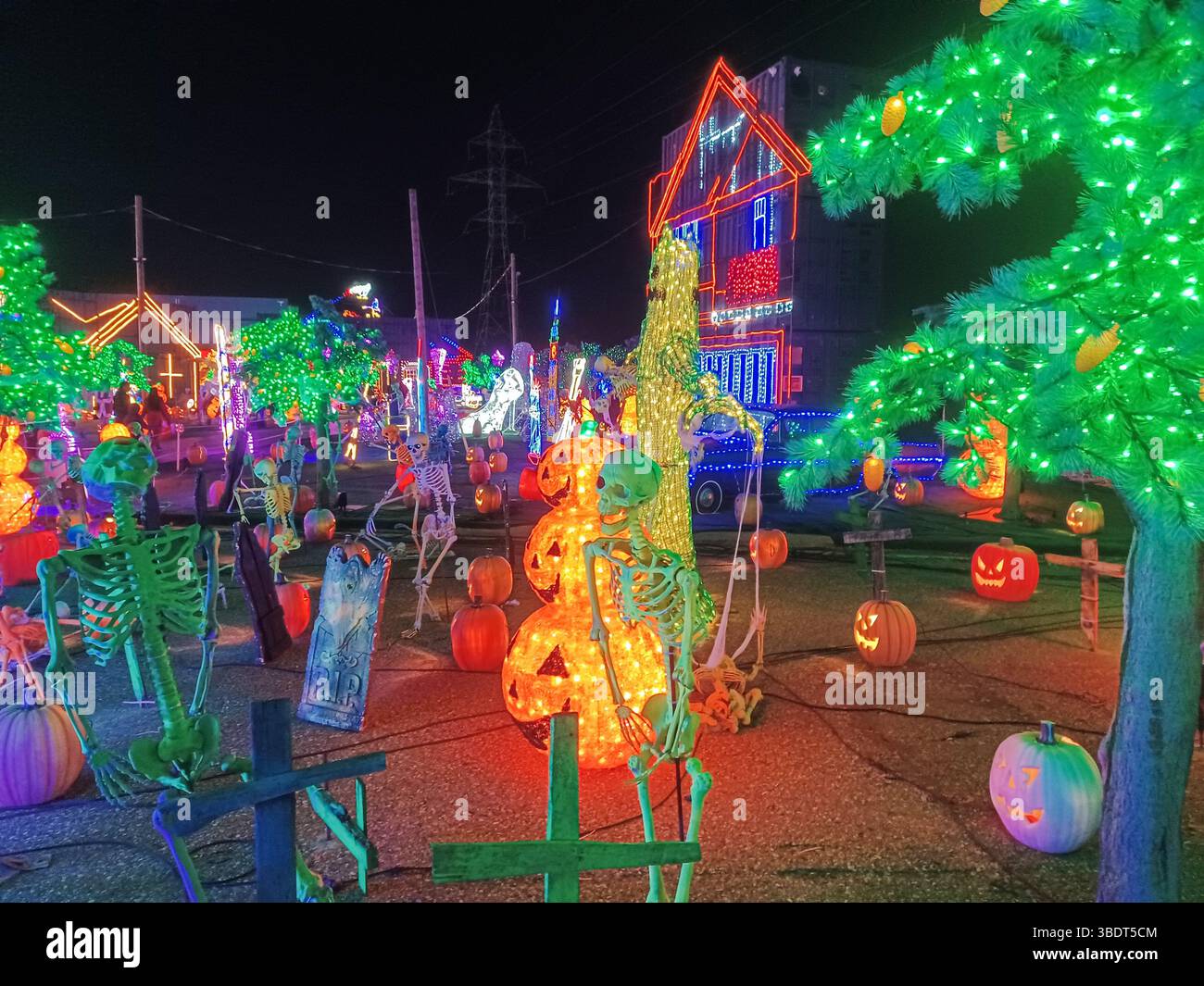 Toronto, ON, Kanada – 18. Oktober 2024: Die massiven Illumi-Lichtstatuen und -Installationen werden auf dem Lichtfestival in Toronto vorgestellt. Stockfoto Toronto, ON, Kanada – 18. Oktober 2024: Die massiven Illumi-Lichtstatuen und -Installationen werden auf dem Lichtfestival in Toronto vorgestellt. Stockfoto