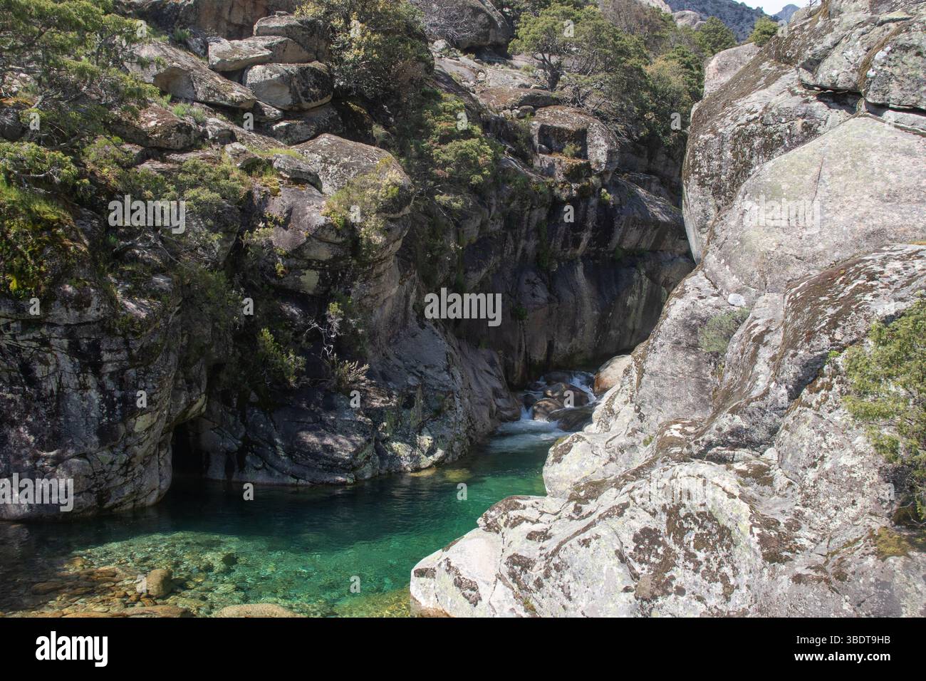 Smaragdfarbener Bergbach in einem Granitschlucht unter einem klaren blauen Himmel Stockfoto