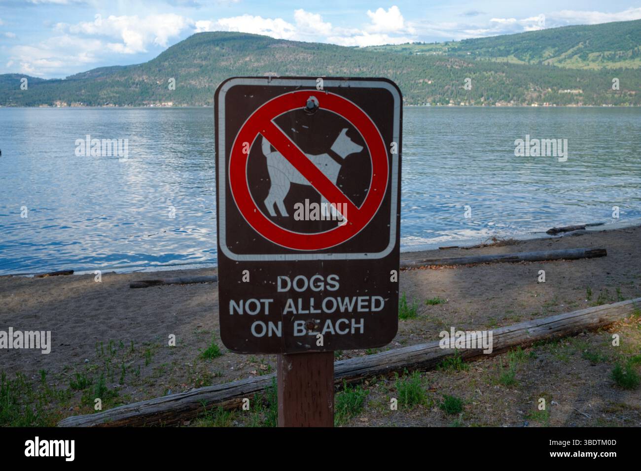 Ein Schild mit der Aufschrift „Dogs not allowed on Beach“ im Fintry Provincial Park am Okanagan Lake in Kelowna, BC. Stockfoto