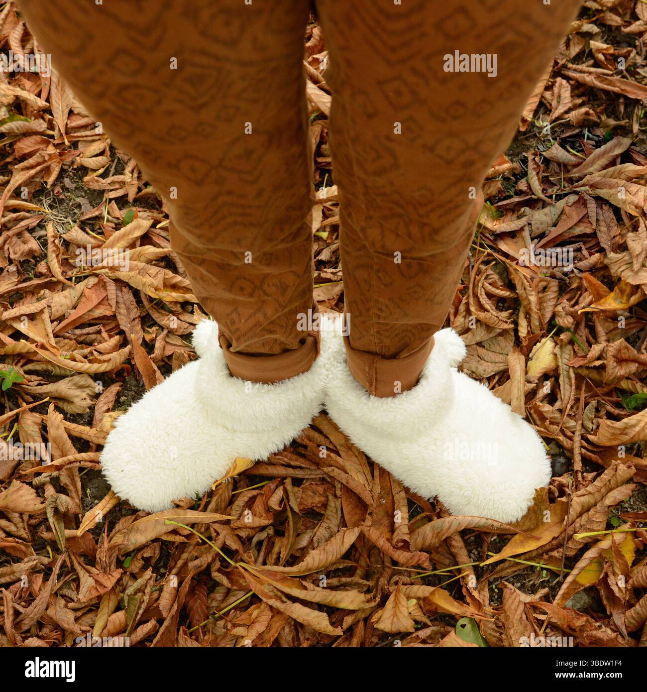 Eine junge Frau steht zwischen gefallenen Blättern und trägt warme, flauschige Schuhe, die Komfort bieten. Die herbstliche Landschaft spiegelt leuchtende Farben wider Stockfoto