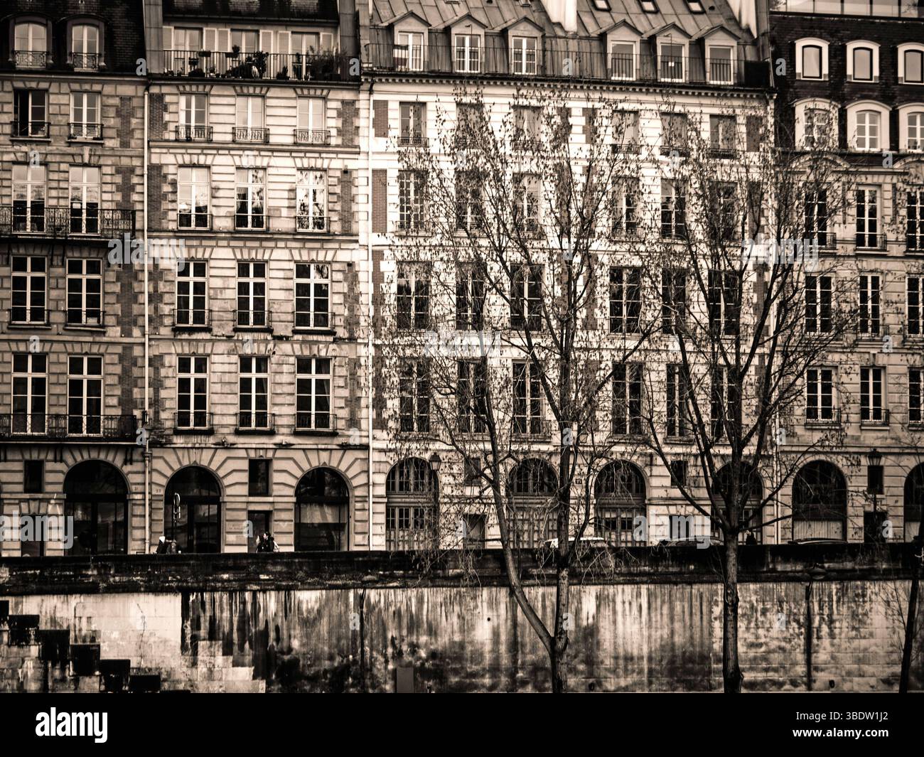 Reihen von alten Gebäuden säumen das Flussufer in Paris, die komplexe Designs und hohe Fenster zeigen. Stockfoto