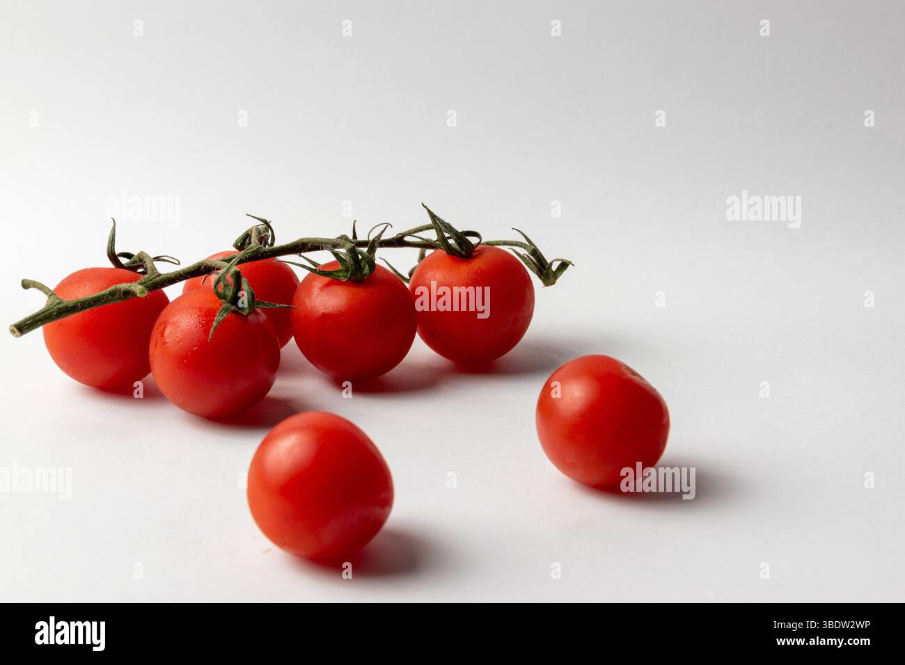 Tomate und weißer Hintergrund Stockfoto