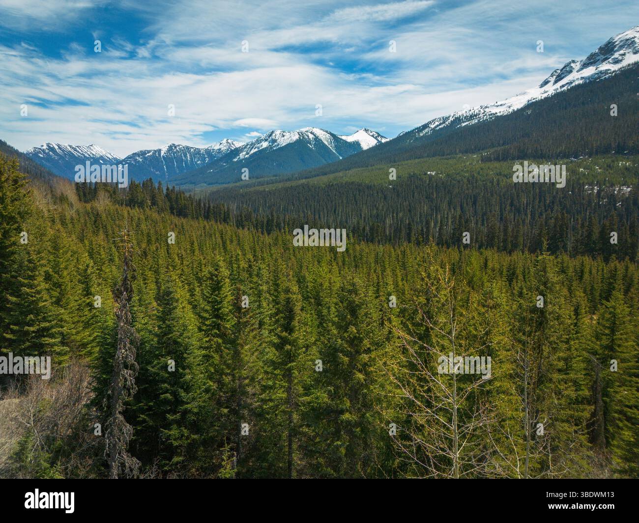 Das Duffey Lake Valley, wo der Highway 99 zwischen Pemberton und Lillooet BC, Kanada, verläuft. Stockfoto