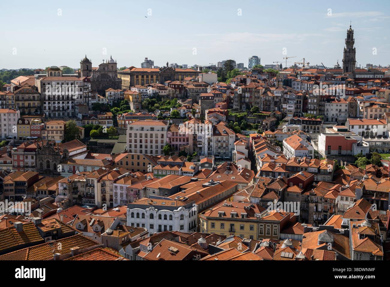 Wunderschöner Blick auf alte historische Gebäude in der Innenstadt von Porto Stockfoto
