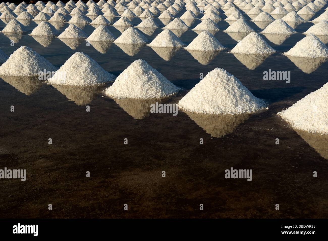 Die Arbeiter arbeiten in der intensiven Hitze, um Salz aus den Küsten vor dem Golf von Thailand an der Samut Songkhram Küste südwestlich von Bangkok zu ernten. Stockfoto