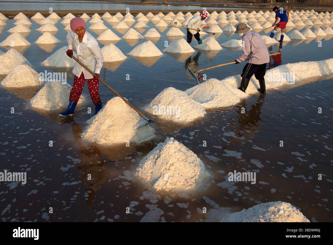 Die Arbeiter arbeiten in der intensiven Hitze, um Salz aus den Küsten vor dem Golf von Thailand an der Samut Songkhram Küste südwestlich von Bangkok zu ernten. Stockfoto