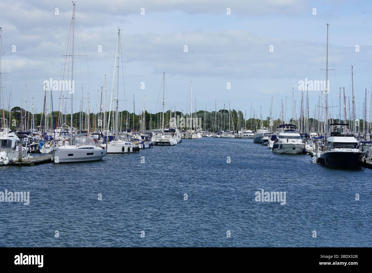 Malerische Marina mit Yachten und Booten unter einem klaren blauen Himmel. Chichester Marina, Großbritannien Stockfoto