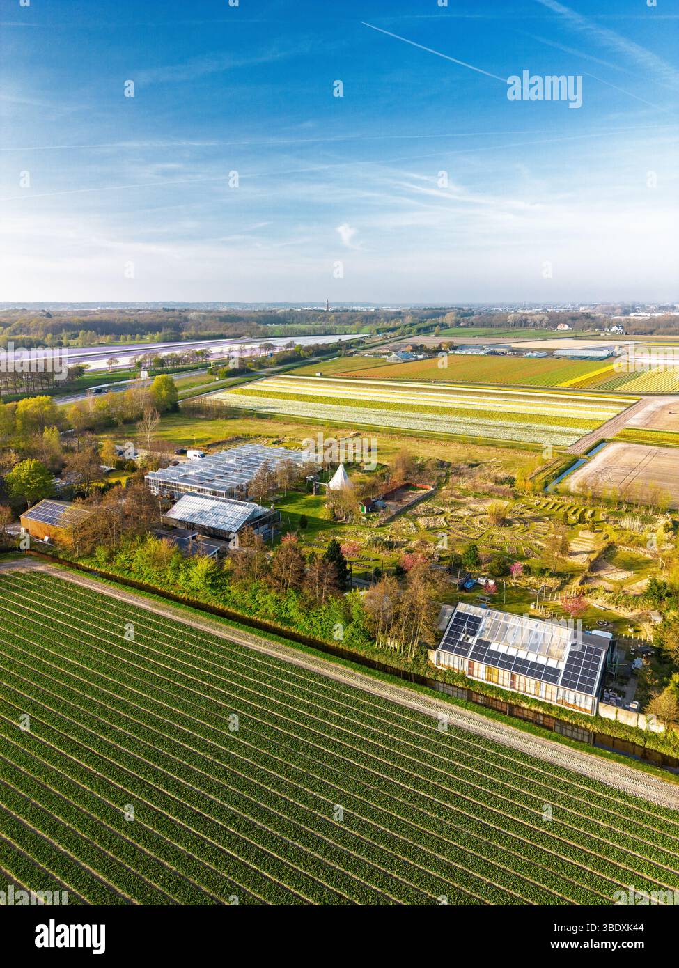 Blick aus der Vogelperspektive auf farbenfrohes holländisches Ackerland ...