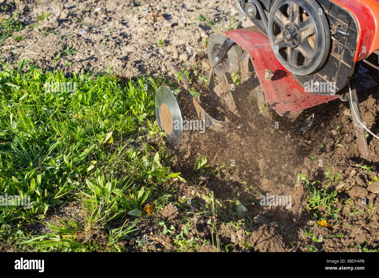 Gartenfräse für die Feldbearbeitung, löst Boden. Tragbarer Motorpflug, der Schmutz mit Bewegungsunschärfe wirft, Stockfoto