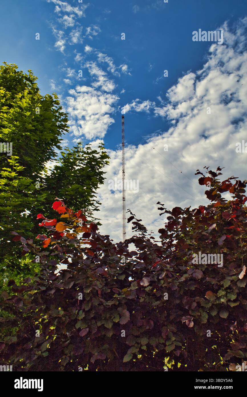 Telekommunikations-Funkturm-Antenne zukünftiges Breitband-Konzept Satellitenverbindung Clouds Stockfoto