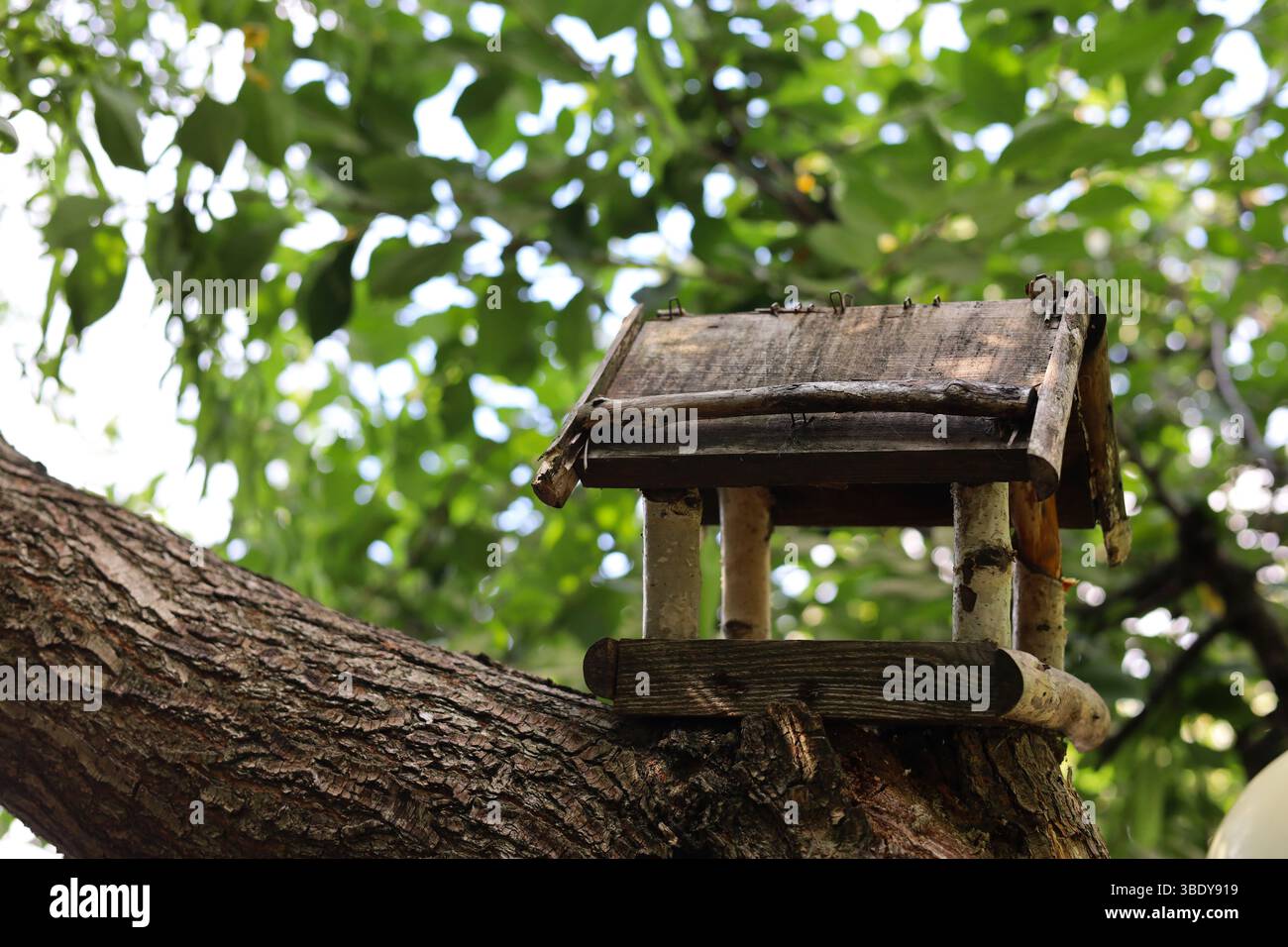 Hölzerne Vogelfutteranlage auf einem Baum mit verschwommenen grünen Blättern im Hintergrund Stockfoto