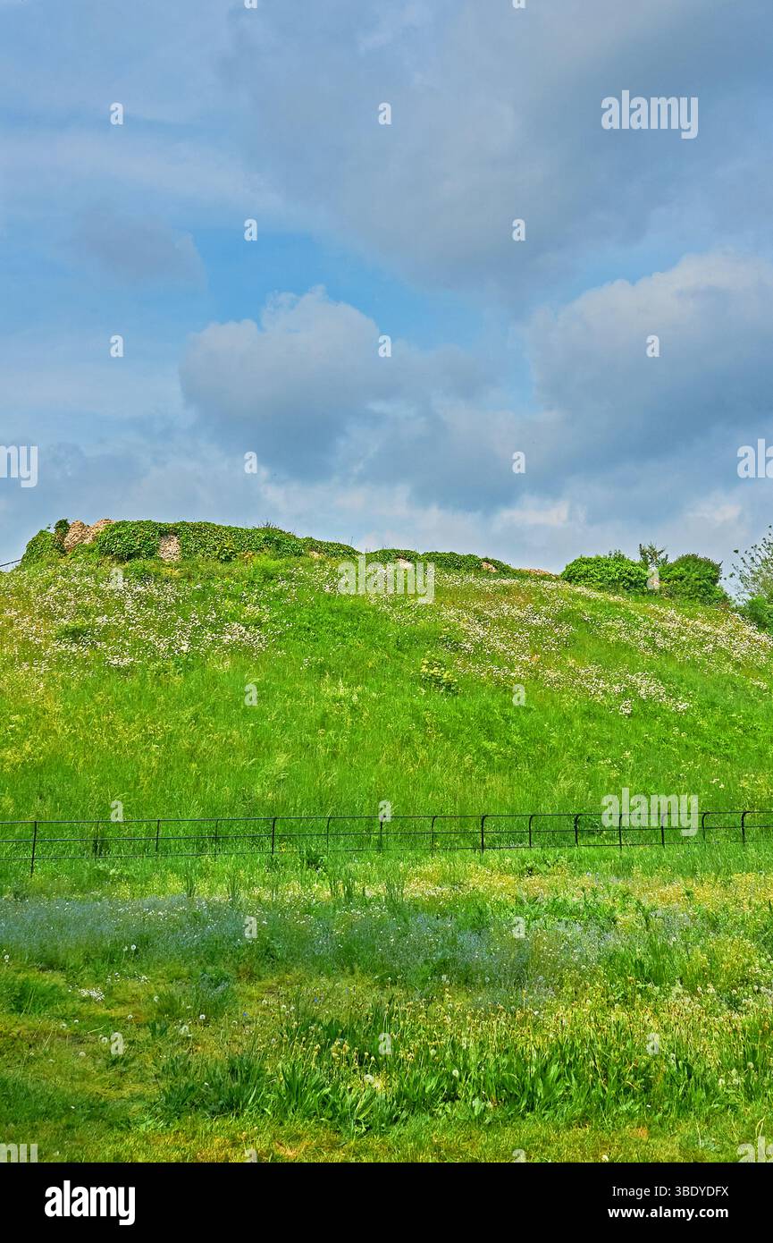 Die Ruinen der Burg Motte und Bailey aus dem 11. Jahrhundert, Waytemore Castle, Bischöfe Stortford, Hertfordshire Stockfoto