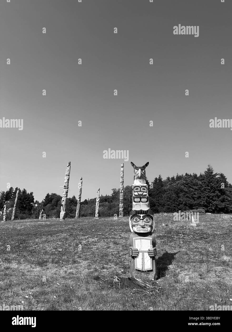 Namgis First Nation Totem Poles, Namgis Graial Grounds, The Village of Alert Bay, Cormorant Island, British Columbia. Kanada Stockfoto