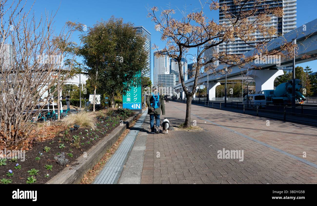 Mann, der seinen Hund parallel zu den Spuren der Yurikamome-Linie an einem frischen Wintertag führt Stockfoto