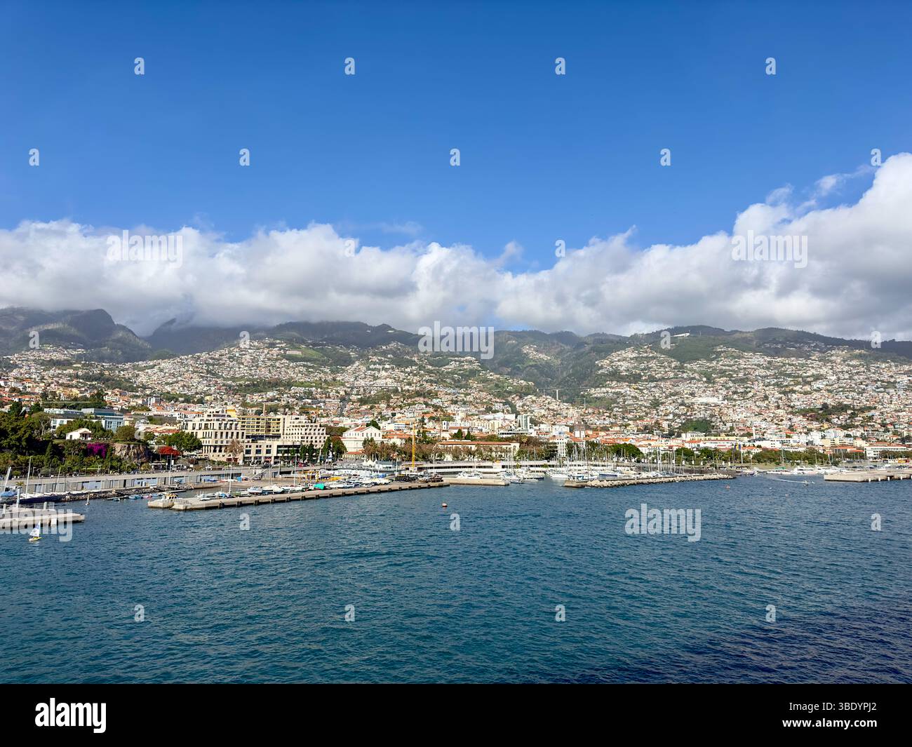 Hafen von Funchal mit modernen Gebäuden und Steilküste, Madeira, Portugal - Smartphone-aufgenommenes Stockfoto